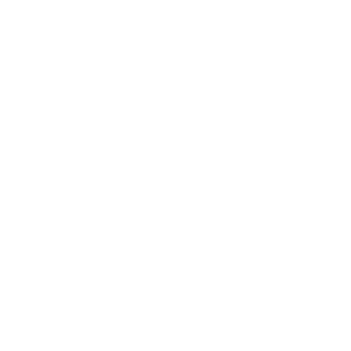 10Bet logo